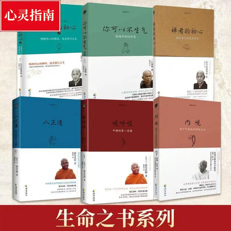 生命之书系列 禅者的初心观呼吸你可以不生气内观八正道书籍