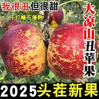 正宗四川大凉山盐源丑苹果当季新鲜现摘现发老人小孩孕妇脆甜多汁