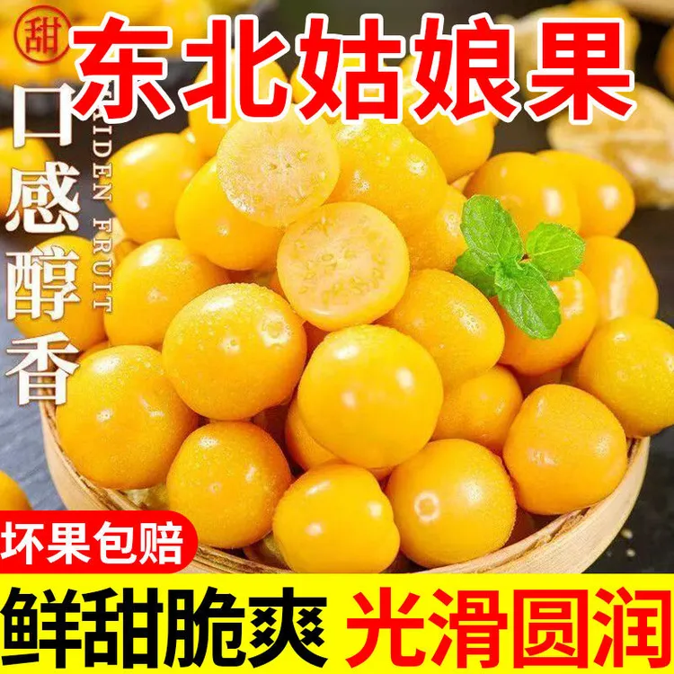 东北姑娘果东北特产新鲜当季孕妇水果整箱灯笼果黄菇娘洋姑娘果