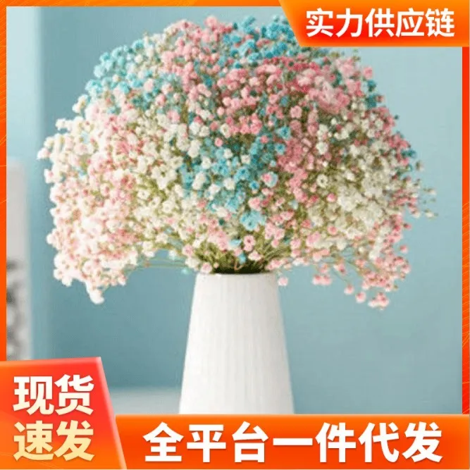 满天星干花花束小清新家摆设装饰客厅办公室摆件风干勿忘我