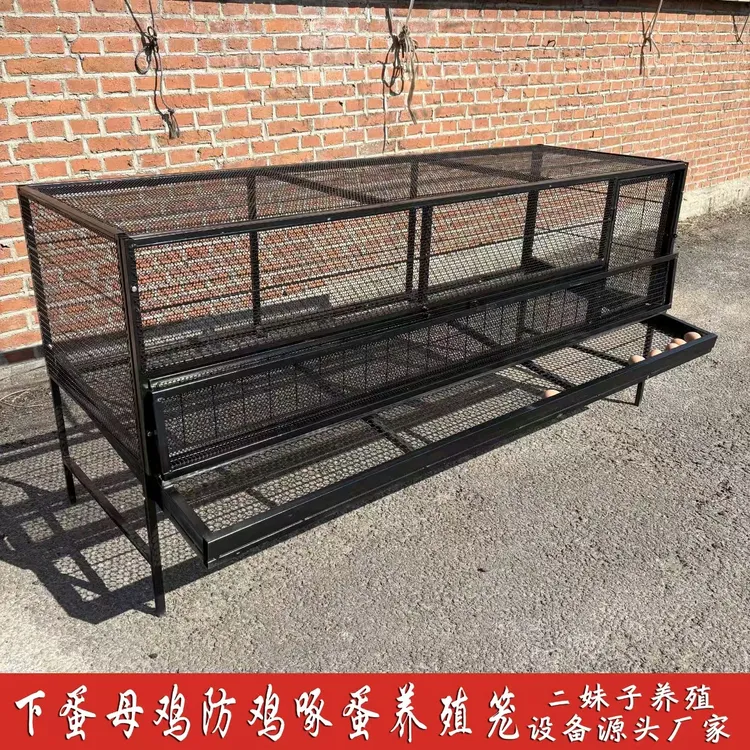 防鸡啄蛋加蛋托防黄鼠狼防老鼠户外养殖笼
