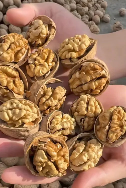 新疆纸皮核桃手剥即开肉厚饱满营养美味零食坚果