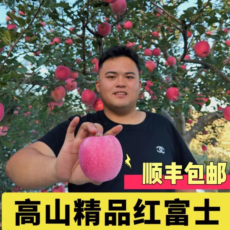 秦安高山精品红富士脆甜多汁纯甜无酸现摘现发坏果包赔