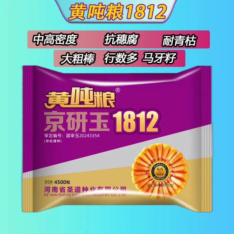 黄吨粮京研玉1812（亥丰辰明）黄金品质中密度马牙齿行数多