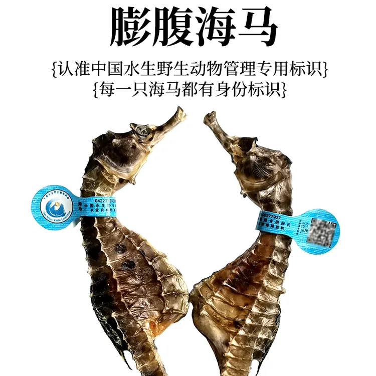 海马干货药材海马干泡酒组合六角海龙海麻雀滋补汤料礼盒