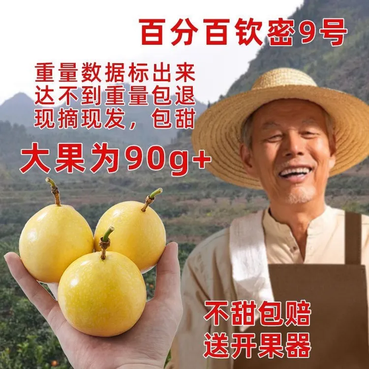 正宗广西百香果钦蜜9号百香果新鲜现摘水果钦蜜包邮黄晶果应季