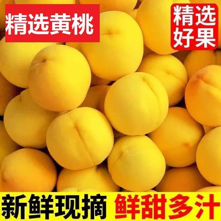 运城黄桃现摘新鲜黄桃应季时令新鲜水果黄金蜜桃毛桃生鲜水果