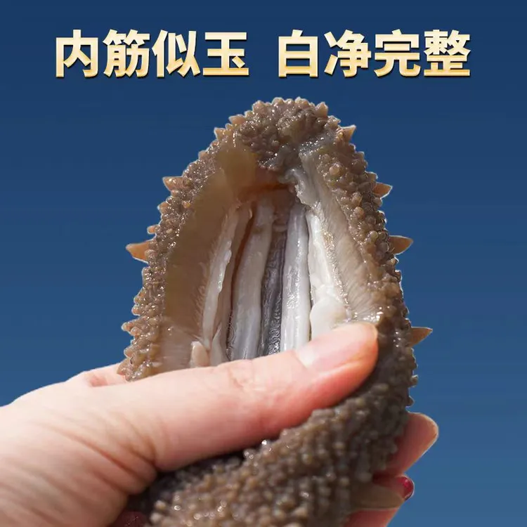 【闽南如姨甄选】即食营养正宗辽参8-10只装鲜食Q弹口感品质保证