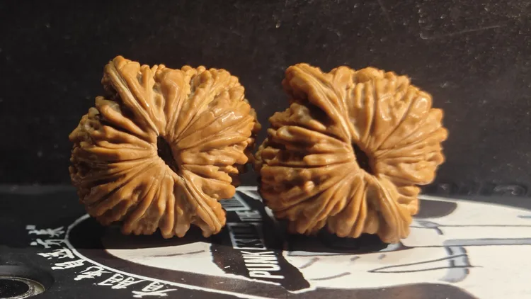 坏牙DeeDee收藏款 四座楼 文玩 核桃 32-43 *顺丰到付