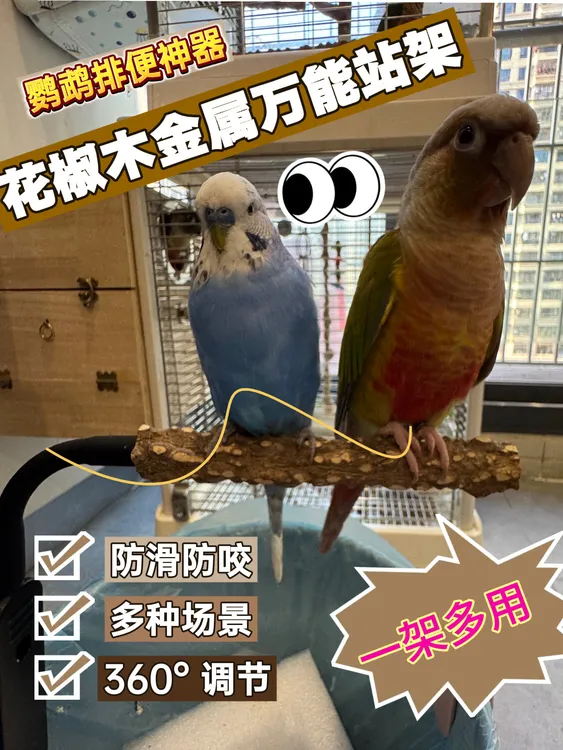 花椒木实木金属万能站架鹦鹉定点排便神器