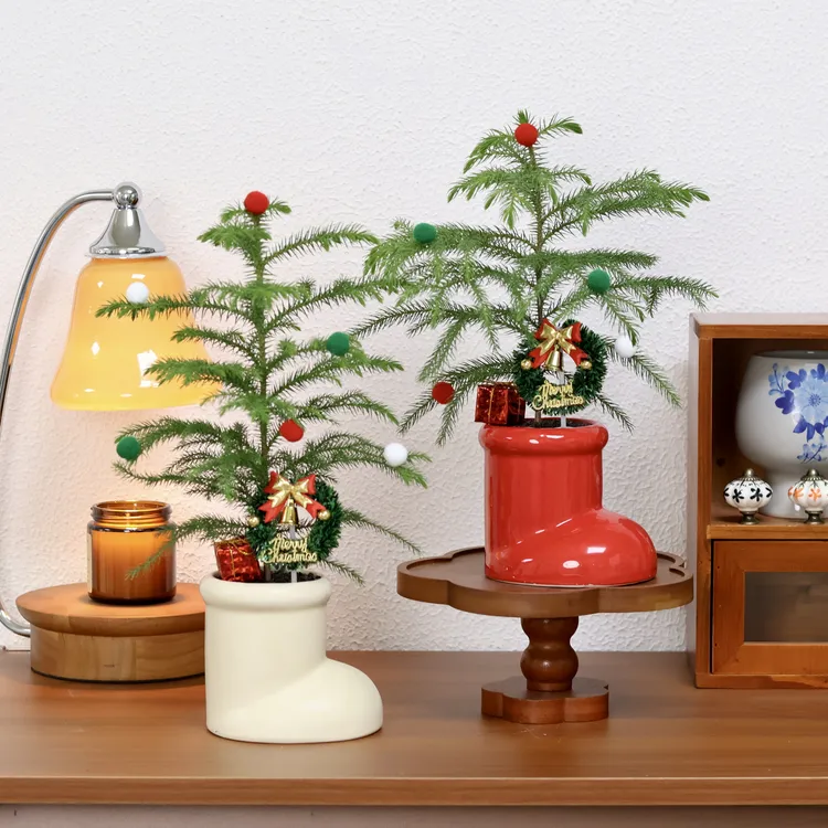 圣诞树南洋杉盆栽平安夜礼物办公室内桌面氛围感好养绿植创意送礼