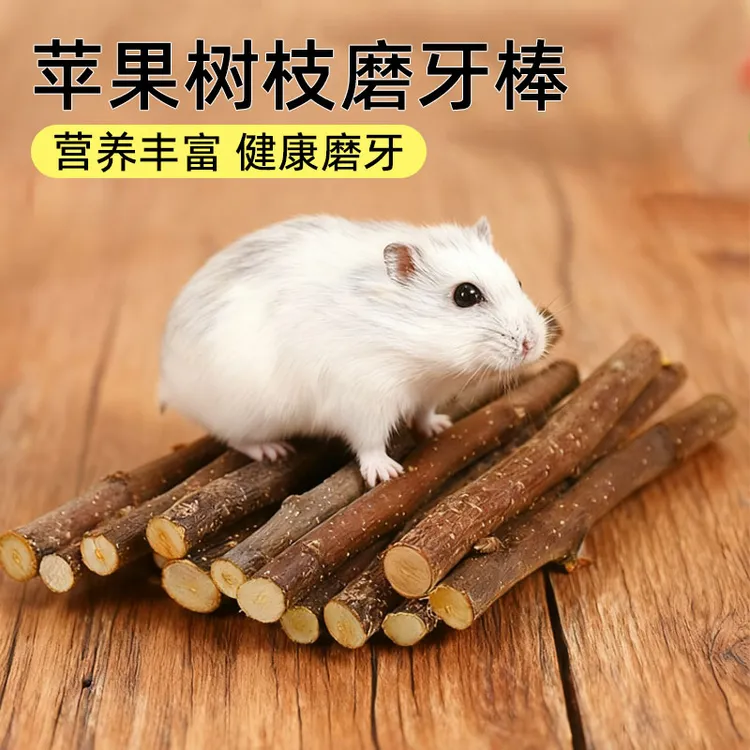 仓鼠磨牙棒苹果树枝金丝熊烘干专用木棍饲料零食兔子荷兰猪磨牙棍