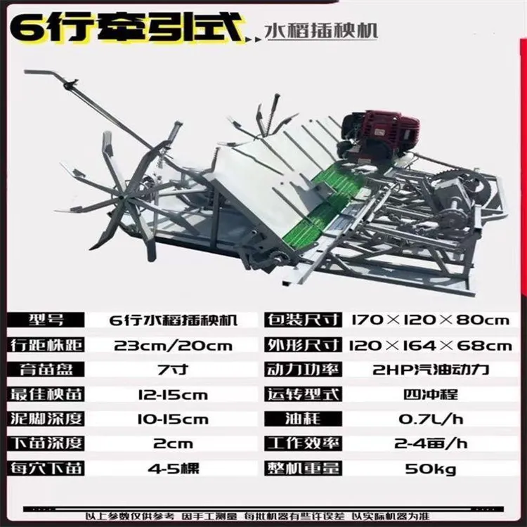 自走式手扶式水稻秧苗机 六行种植水稻插秧机 手推水稻种植机