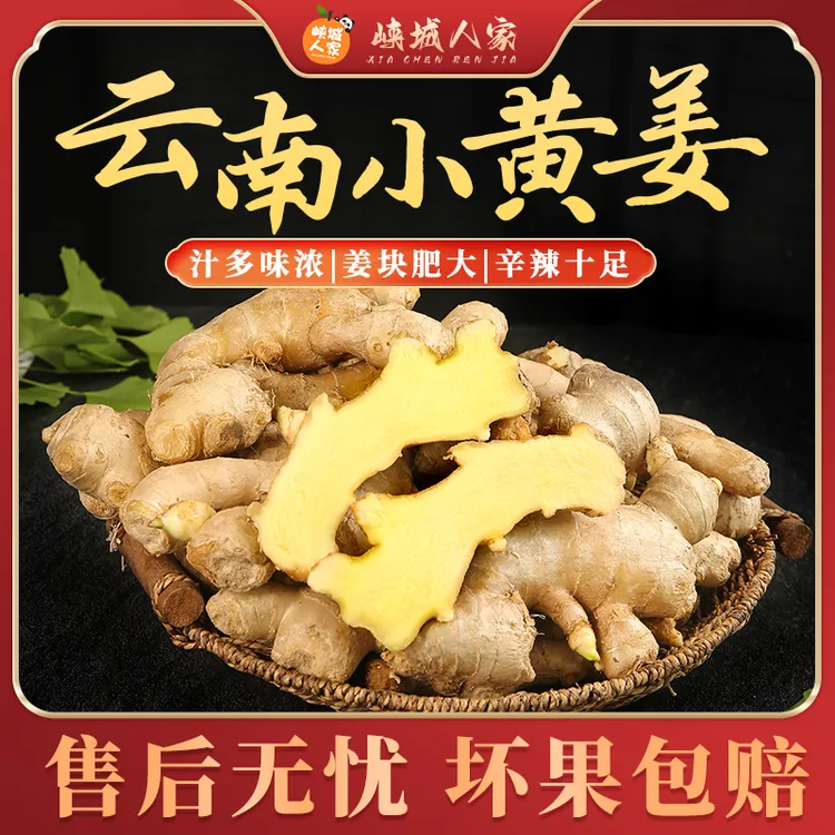 【峡城人家】云南小黄姜高山老姜辛辣浓郁新鲜直发