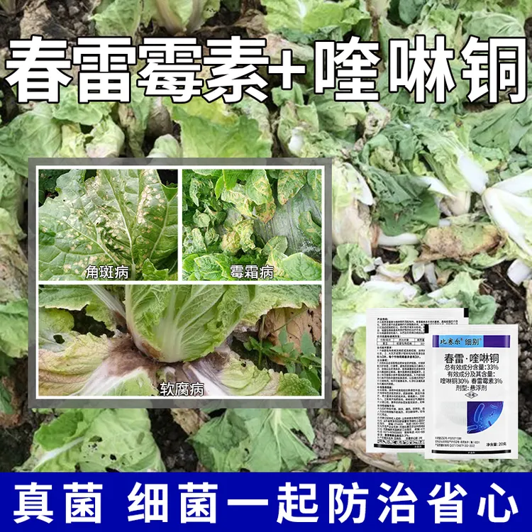 【种叶菜少不了】叶菜烂心烂叶烂菜帮烂根杀菌药防腐包心农药杀菌剂