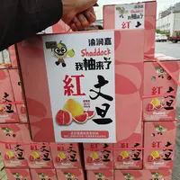 【中秋礼盒】红文旦柚水分超足四颗装福建省