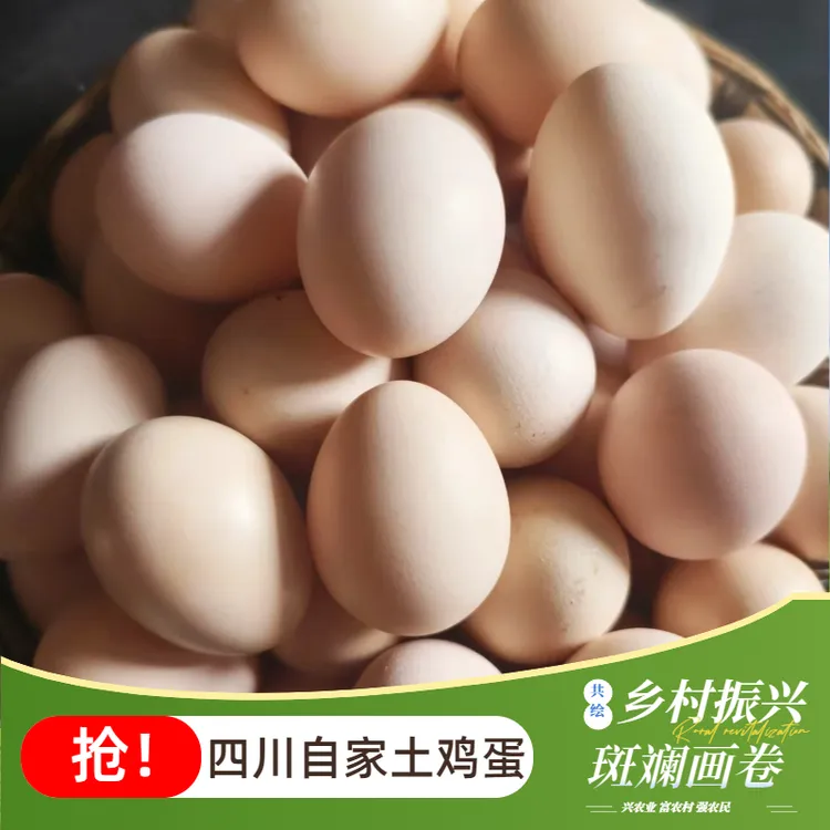 【老陈】农家散养土鸡蛋 纯粮食喂养的新鲜跑山鸡蛋