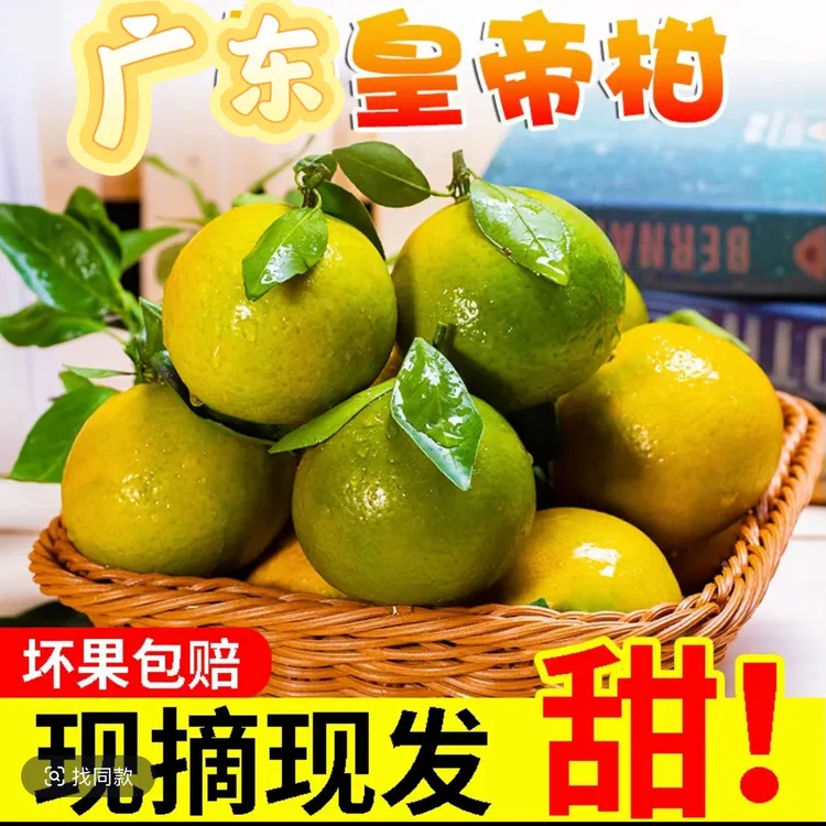 广东河源和平皇帝柑新鲜水果皮薄汁多清脆甘甜
