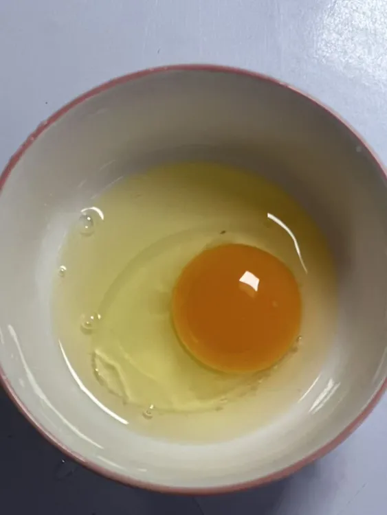 河南固始笨鸡蛋土鸡蛋正宗农家特产天然新鲜散养美味纯正营养丰富