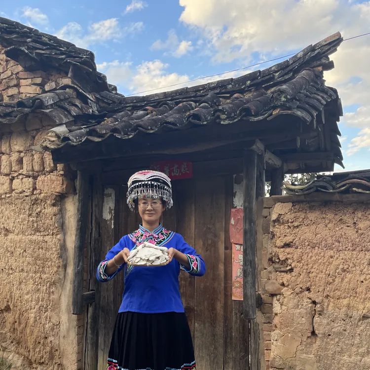 【云茯苓片】无量山花甲茯苓野外种植煲汤云南原产地生切生晒无硫