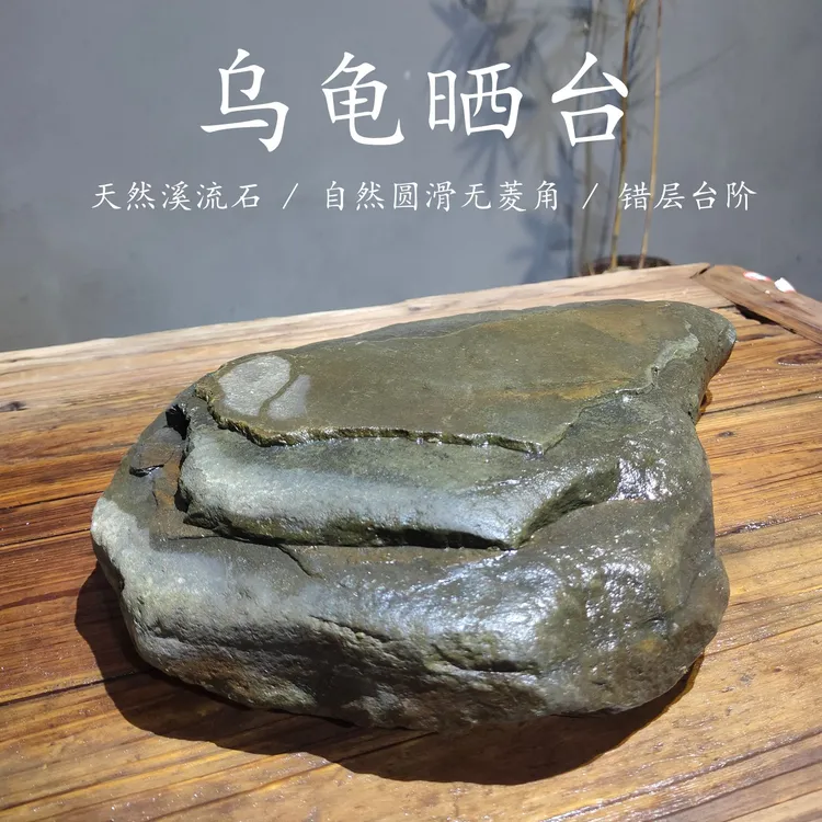 天然原生溪流石乌龟晒台水陆缸鱼缸造景石头