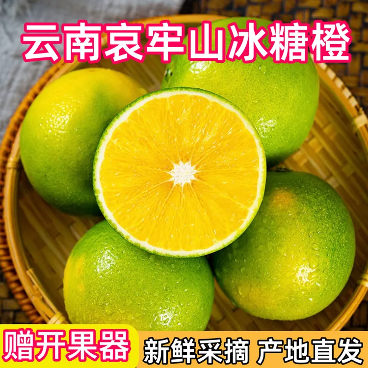 【果园直发】云南哀牢山青皮冰糖橙新鲜应季水果现摘皮薄多汁清甜