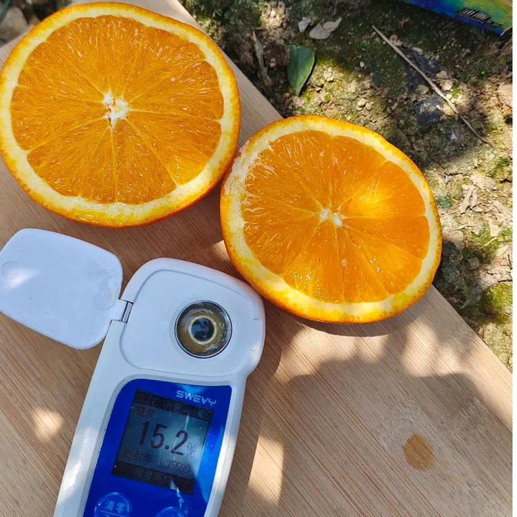橙姊归来秭归伦晚脐橙 新鲜水果橙子 应季水果 现摘现发 送剥橙器