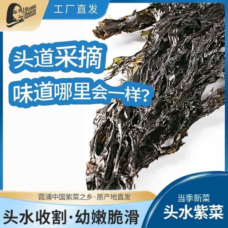 【福建霞浦头水紫菜】源产地直发 人工日晒 免洗无沙 营养美味 