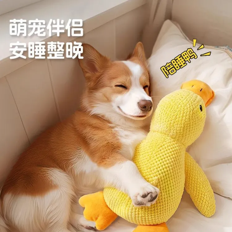 狗狗通用毛绒发声鸭玩具耐咬磨牙解闷神器小型犬泰迪比熊狗玩具