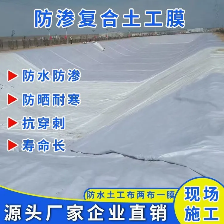 复合土工膜防渗防潮蓄水池鱼池防水护坡专用hdpe两布一膜一布一膜