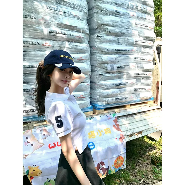 2025年夏季新款chic网红同款运动风Polo短款T恤上衣配高腰裙裤女