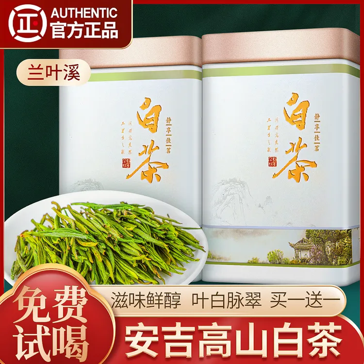 2025新茶安吉高山明前白茶正宗浓香型绿茶甘甜茶叶礼盒装厂家直销