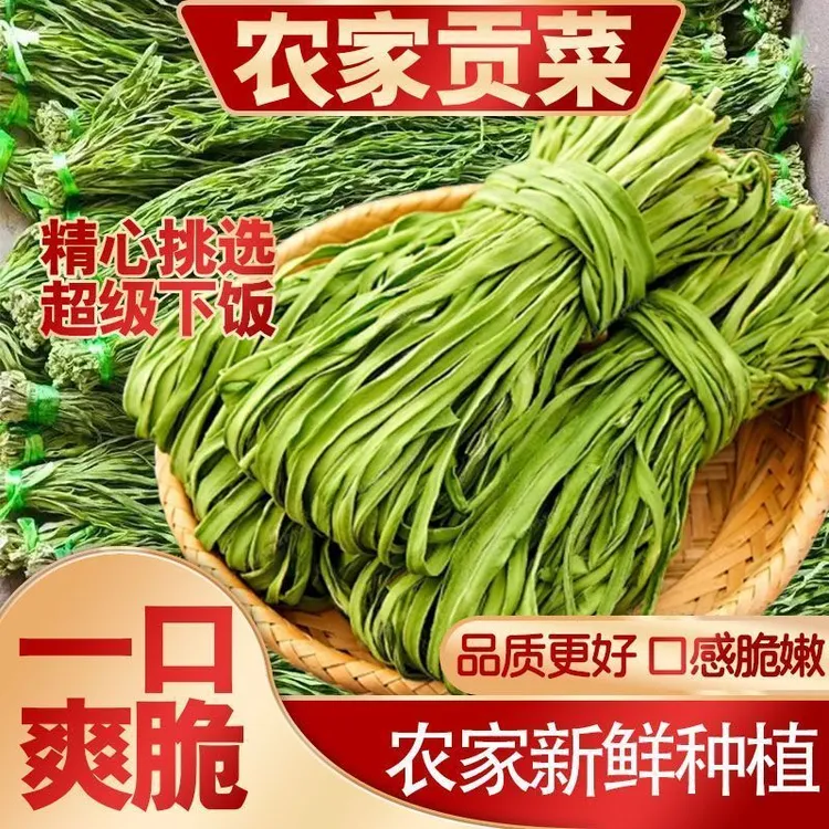 新货正宗贡菜新鲜苔干脱水蔬菜干货火锅批发串串各种干菜大全