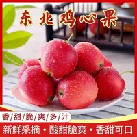 东北鸡心果锦绣海棠酸甜多汁脆甜可口新鲜采摘小苹果现摘现发27