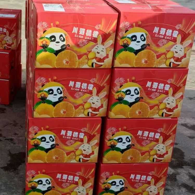 耙耙柑粑粑柑橘子（春见）晓梅优选