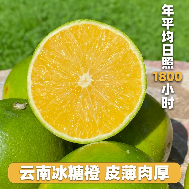 云南哀牢山冰糖橙青皮水果新鲜应季皮薄多汁清甜爽口现摘包邮