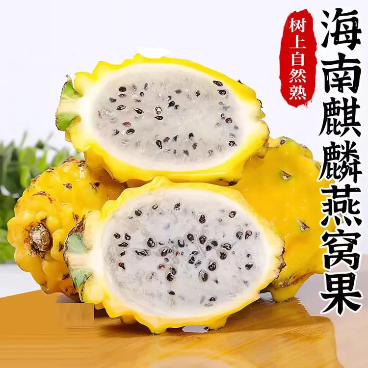 【产地直发】海南山野燕窝果麒麟果黄色皮火龙果热带特产新鲜水果
