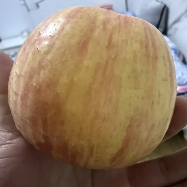 老品种红富士【正宗】陕西礼泉苹果 条红长富 冰糖心脆甜自己家种的
