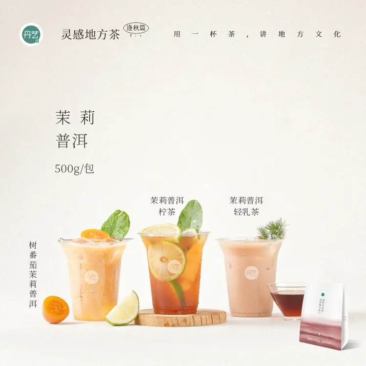 丹艺茉莉普洱黑茶500g茉莉咸法酪树番茄山楂蓝莓茉莉茉莉花茶