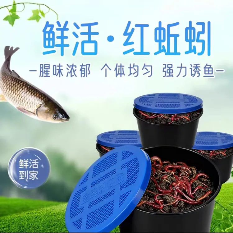 纯牛粪红蚯蚓 鲜活发货 基地直发