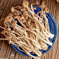 【拍一发三】茶树菇新鲜晒干干货农家特产新货煲汤食材