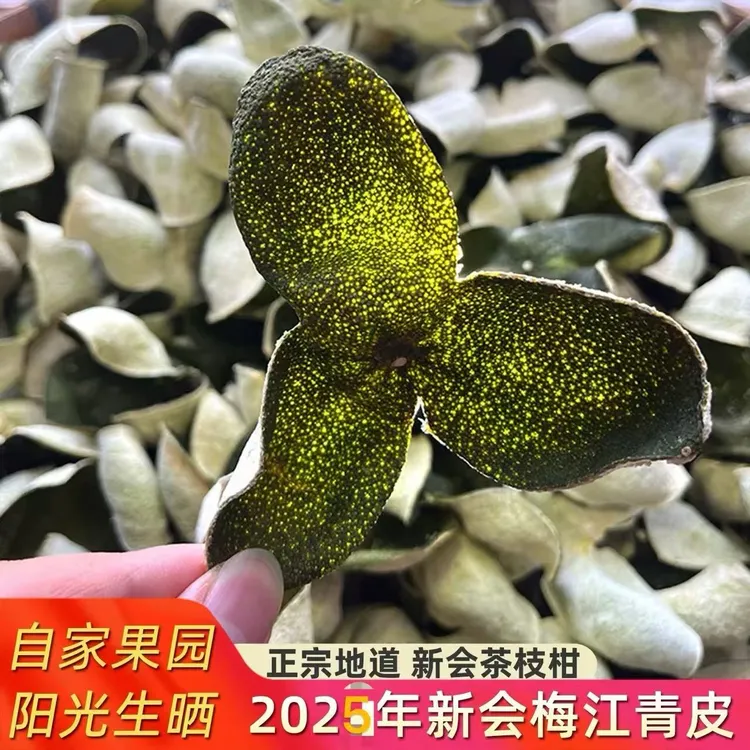 （永樂行）2025年梅江老树青皮