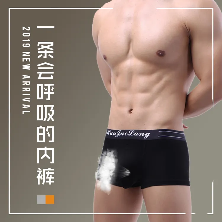 华爵狼男士大象平角内裤棉质透气舒适内裤枪弹分离纯色大象内裤