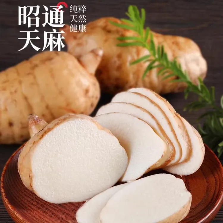 云南小草坝新鲜乌天麻野种植营养滋补可炖肉煲汤