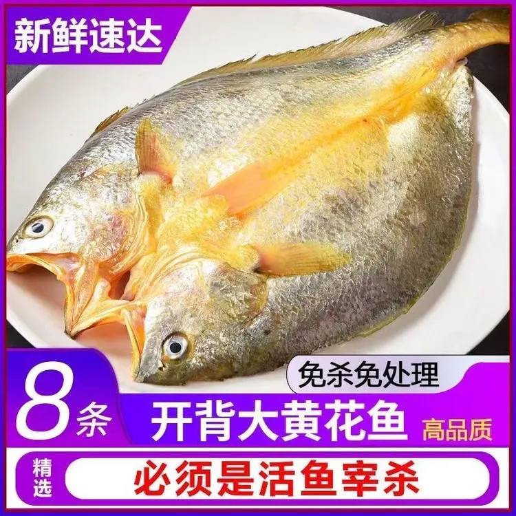 宁德大黄鱼黄花鱼黄鱼鲞干货独立真空包装生鲜海鲜厂家批发价黄鱼