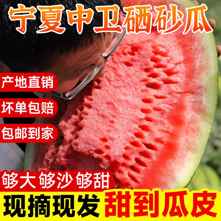 【顺丰包邮】中卫硒砂瓜现摘宁夏硒砂瓜爆甜多汁产地直发送货上门