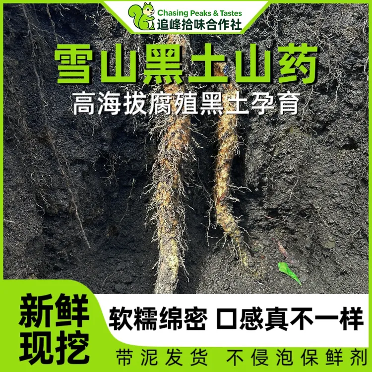 雪山黑土山药高海拔特产品种糯山药非铁棍山药营养健康农产品新鲜