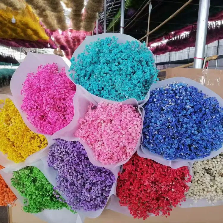 【超值享购】永生满天星花材现货供应手工DIY批发一件也是批发价