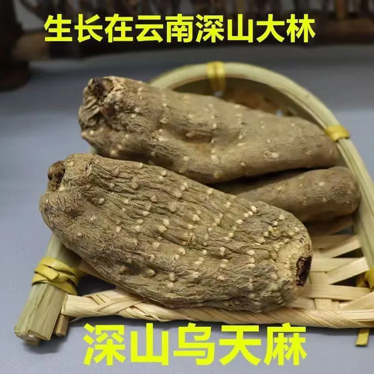 【乌天麻】云南乌天麻干货精选足干深山野外生长老天麻