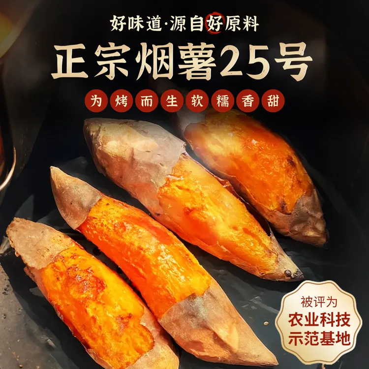 烟薯25号蜜薯新鲜采摘沙地红薯糖心流油烤地瓜（5斤）